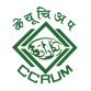 CCRUN Logo